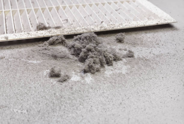 Best Affordable Air Duct Cleaning  in Copper Canyon, TX